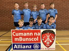 Allianz Cumann na mBunscol Boys\' Indoor Football Heat