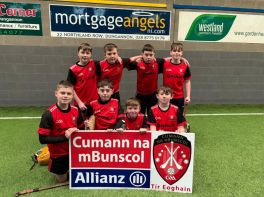 Allianz Cumann na mBunscol Indoor Hurling Dungannon Heat