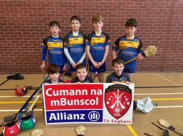 Allianz Cumann na mBunscol Indoor Hurling Finals 2025