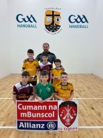 Allianz Cumann na mBunscol Boys\' Handball County Finals